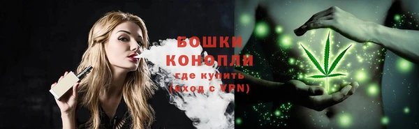 МДМА Ельня